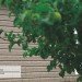 Сайдинг Ю-Пласт TIMBERBLOCK Пихта (Тимберблок) Cахалинская купить в Можайске
