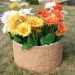 Цветник КАНЬОН купить в Можайске